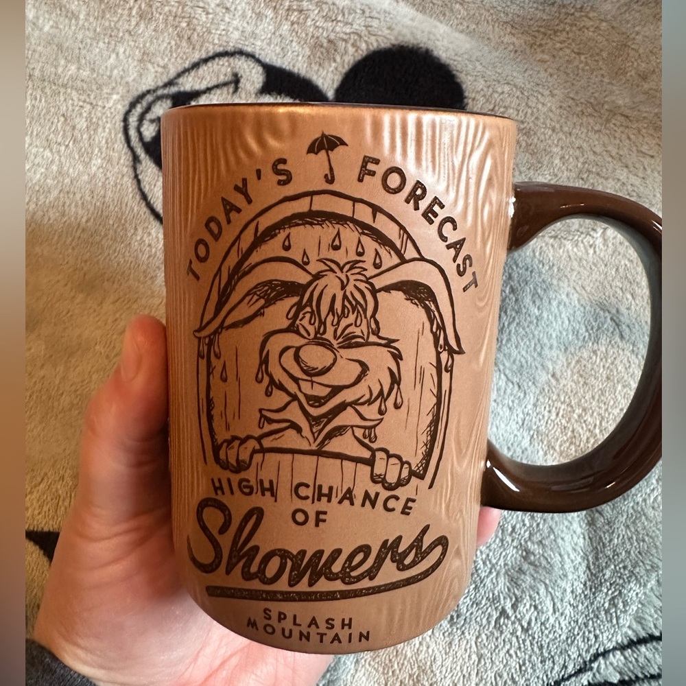Splash Mountain Mug